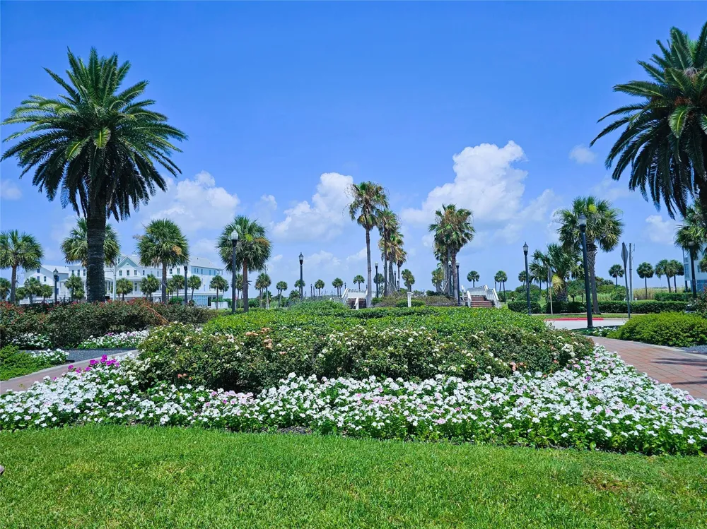 722 Ramsar Road Galveston, TX 77550