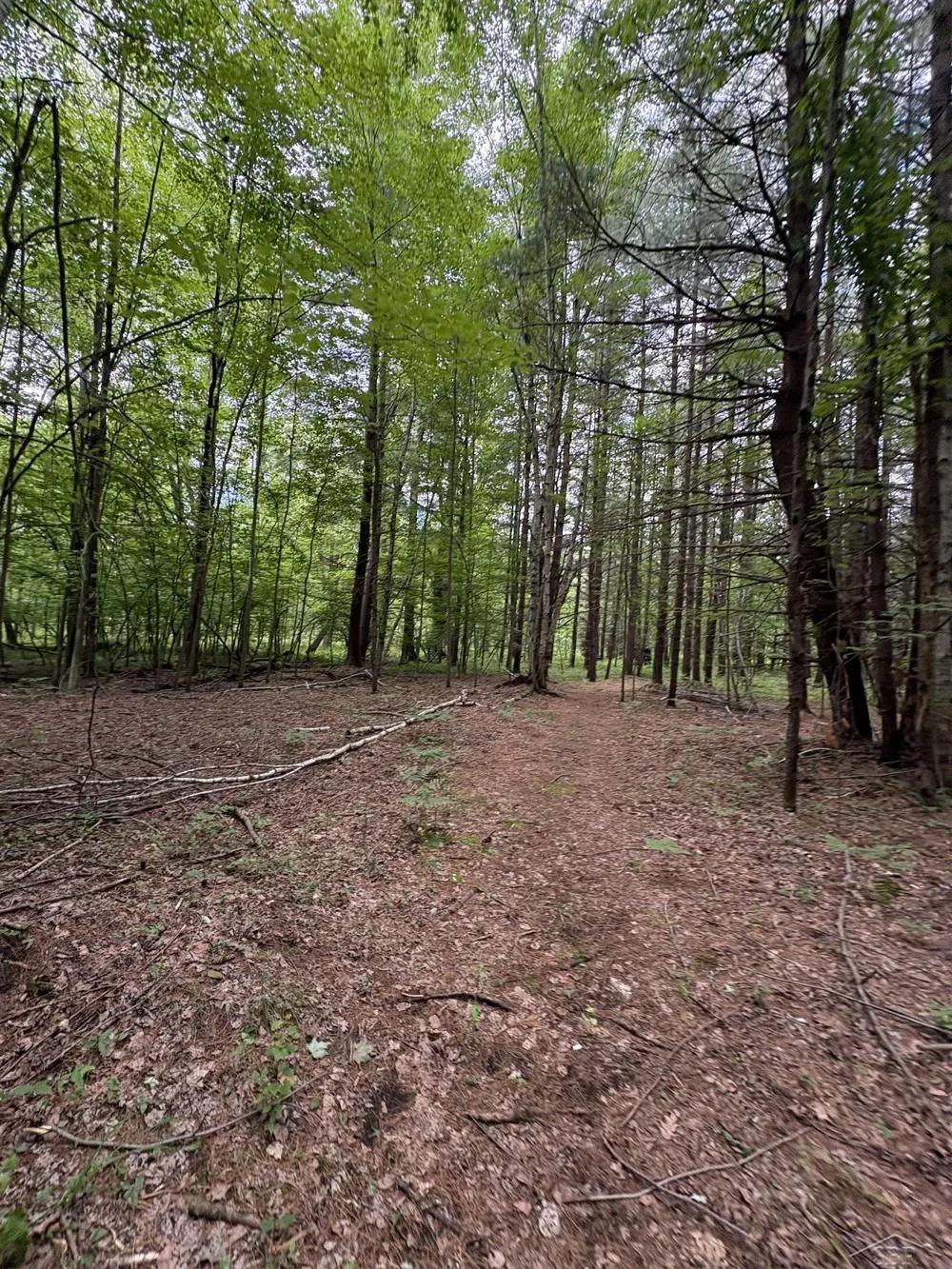 3680 Wieman Road Billings Township, MI 48612