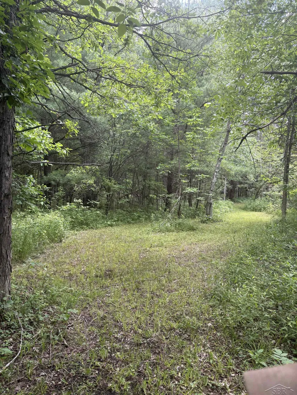 3680 Wieman Road Billings Township, MI 48612