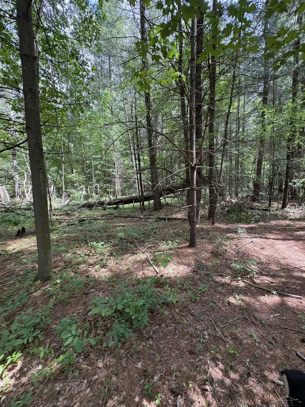 3680 Wieman Road Billings Township, MI 48612
