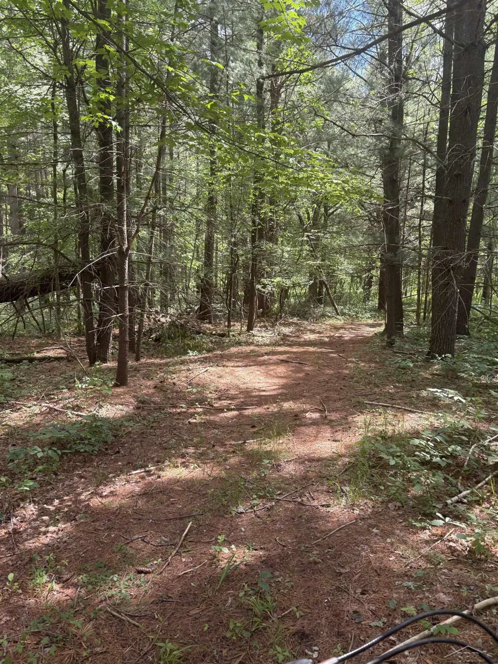 3680 Wieman Road Billings Township, MI 48612