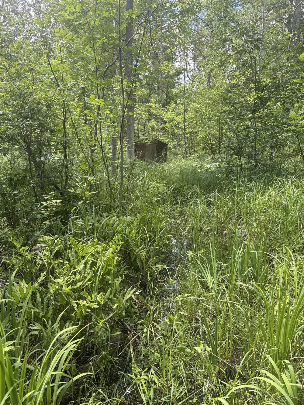 3680 Wieman Road Billings Township, MI 48612