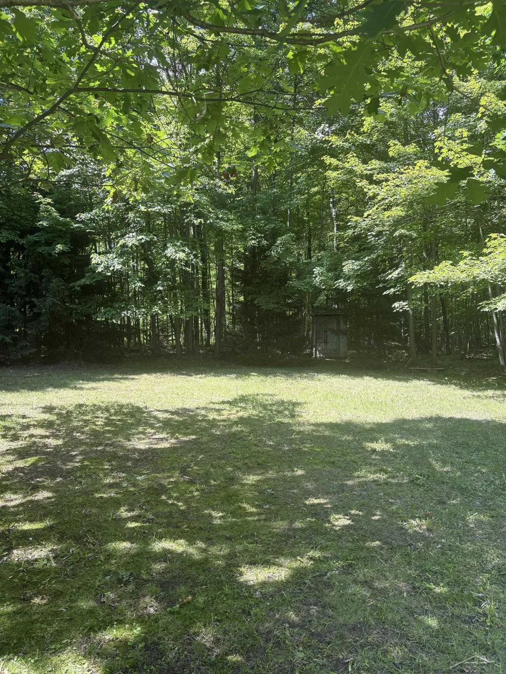 3680 Wieman Road Billings Township, MI 48612