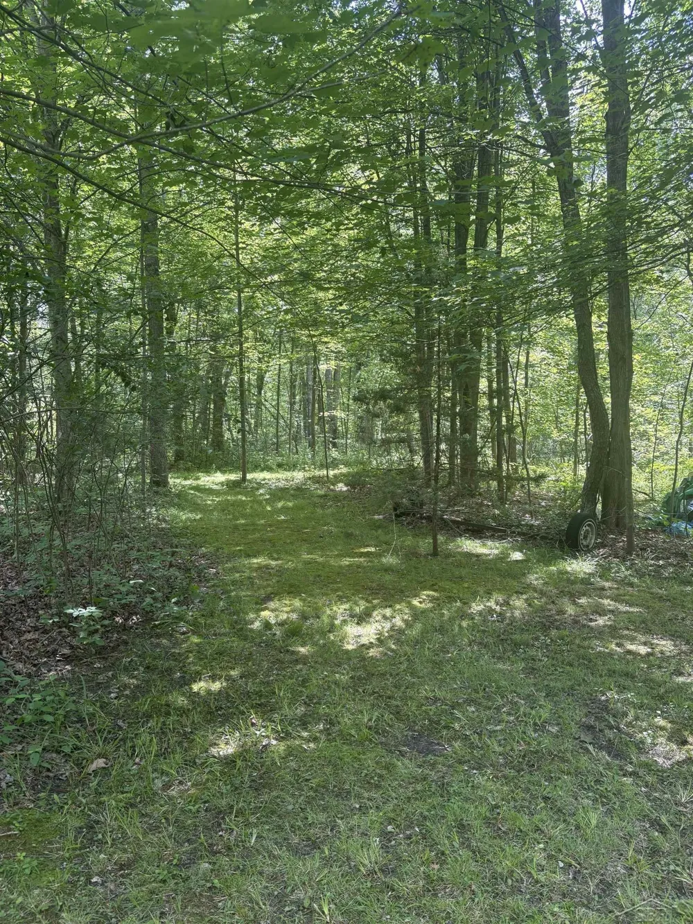 3680 Wieman Road Billings Township, MI 48612
