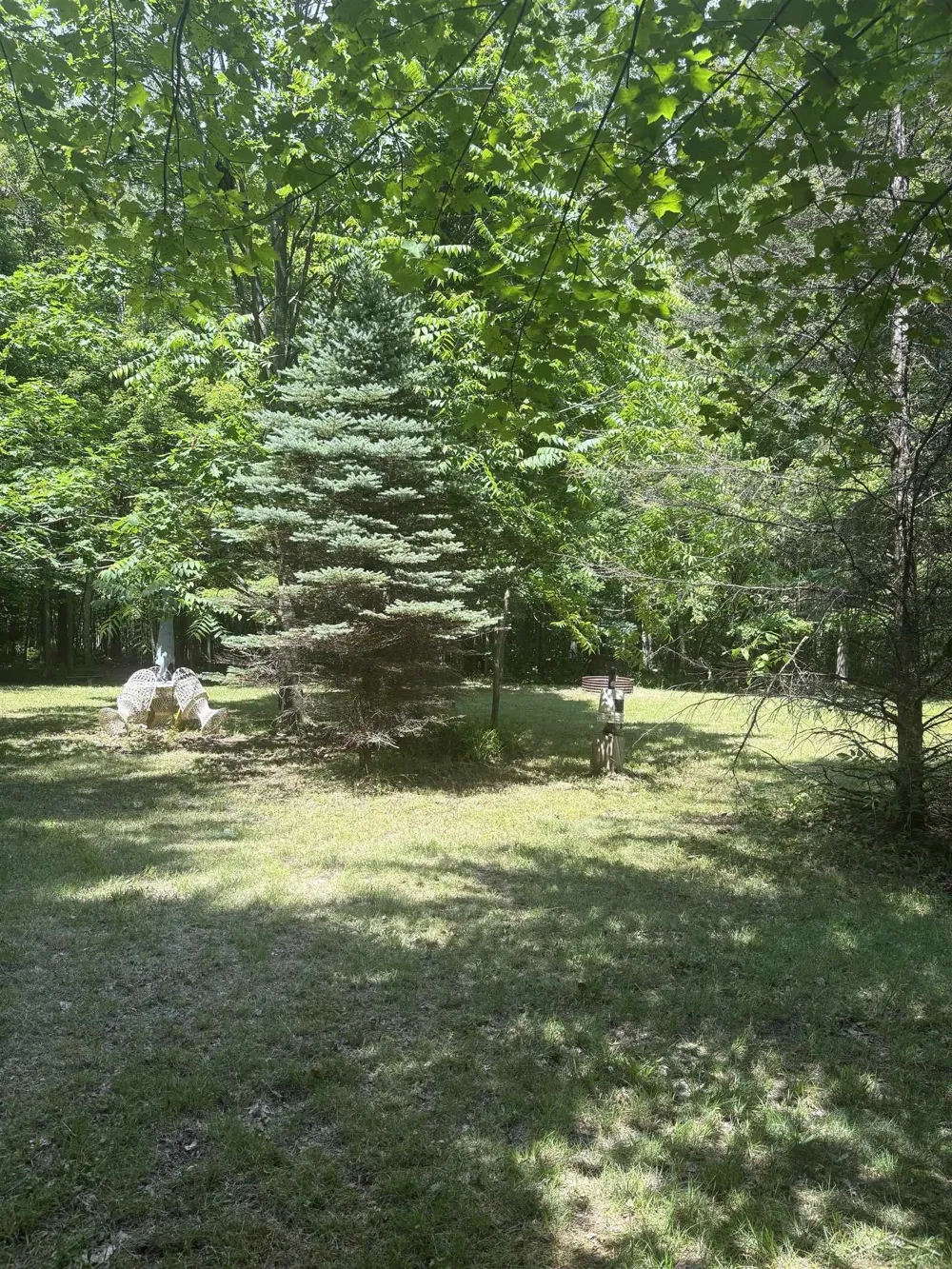3680 Wieman Road Billings Township, MI 48612