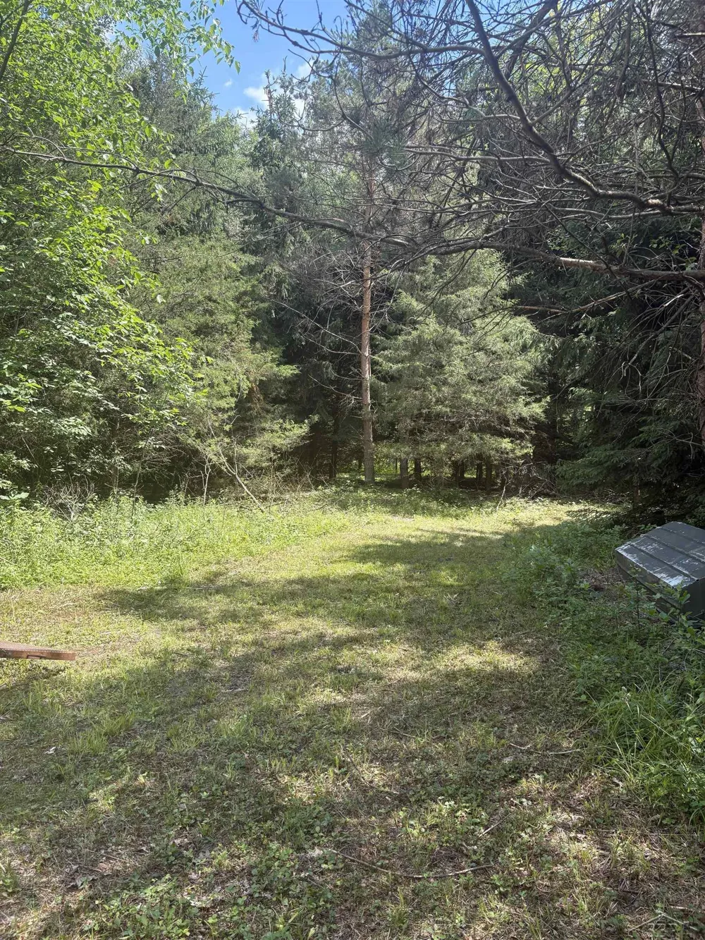 3680 Wieman Road Billings Township, MI 48612