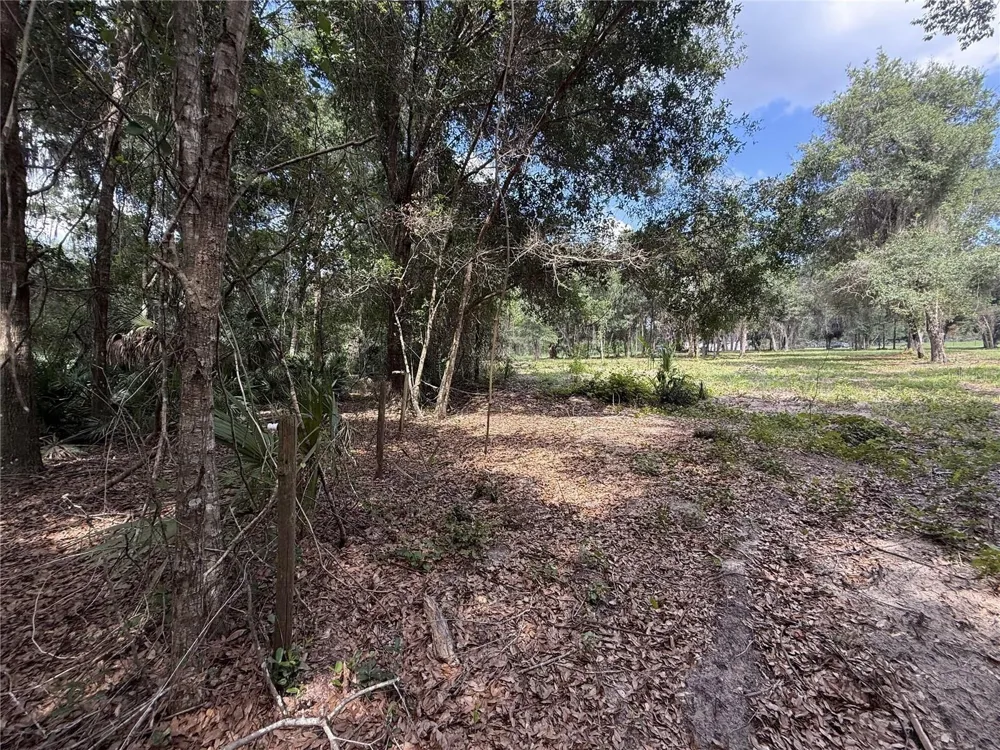 620 COCHRAN ROAD Geneva, FL 32732