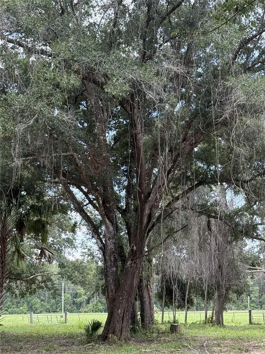 620 COCHRAN ROAD Geneva, FL 32732