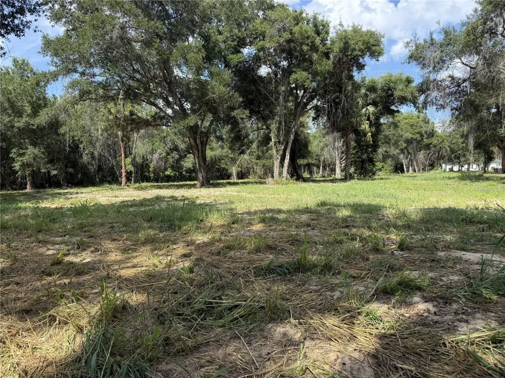 620 COCHRAN ROAD Geneva, FL 32732