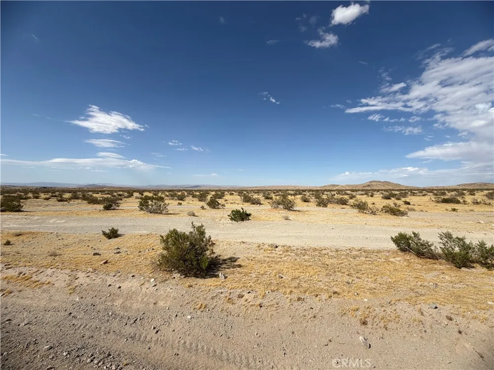 Near Outlet Center Drive Barstow, CA 92311