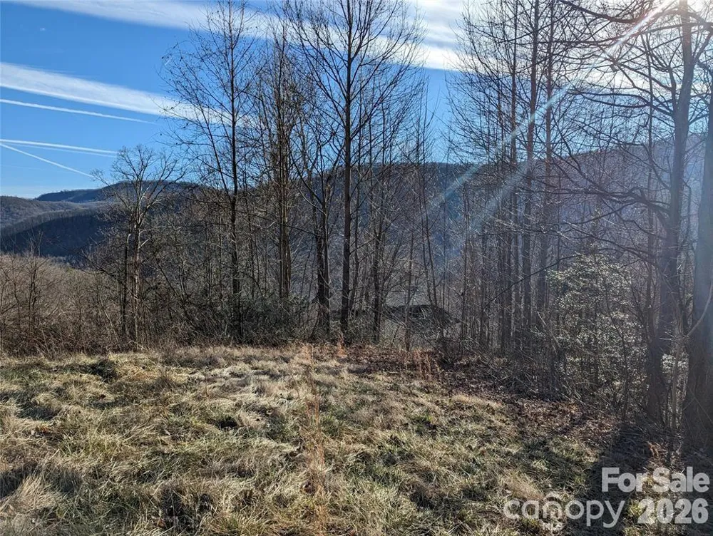 117 Ironwood Lane #C-20 Black Mountain, NC 28711