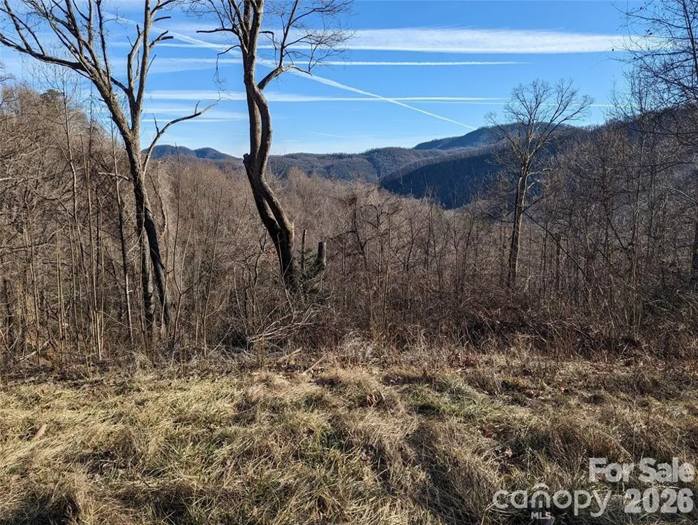 117 Ironwood Lane #C-20 Black Mountain, NC 28711