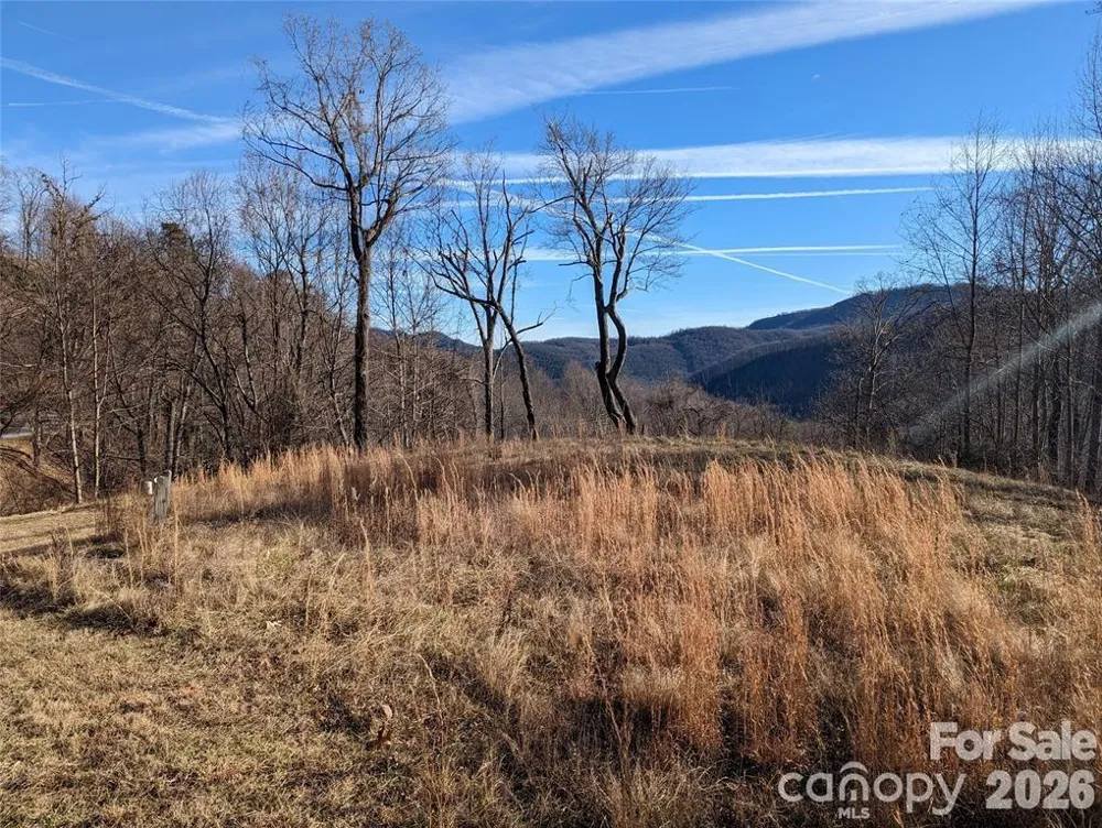 117 Ironwood Lane #C-20 Black Mountain, NC 28711