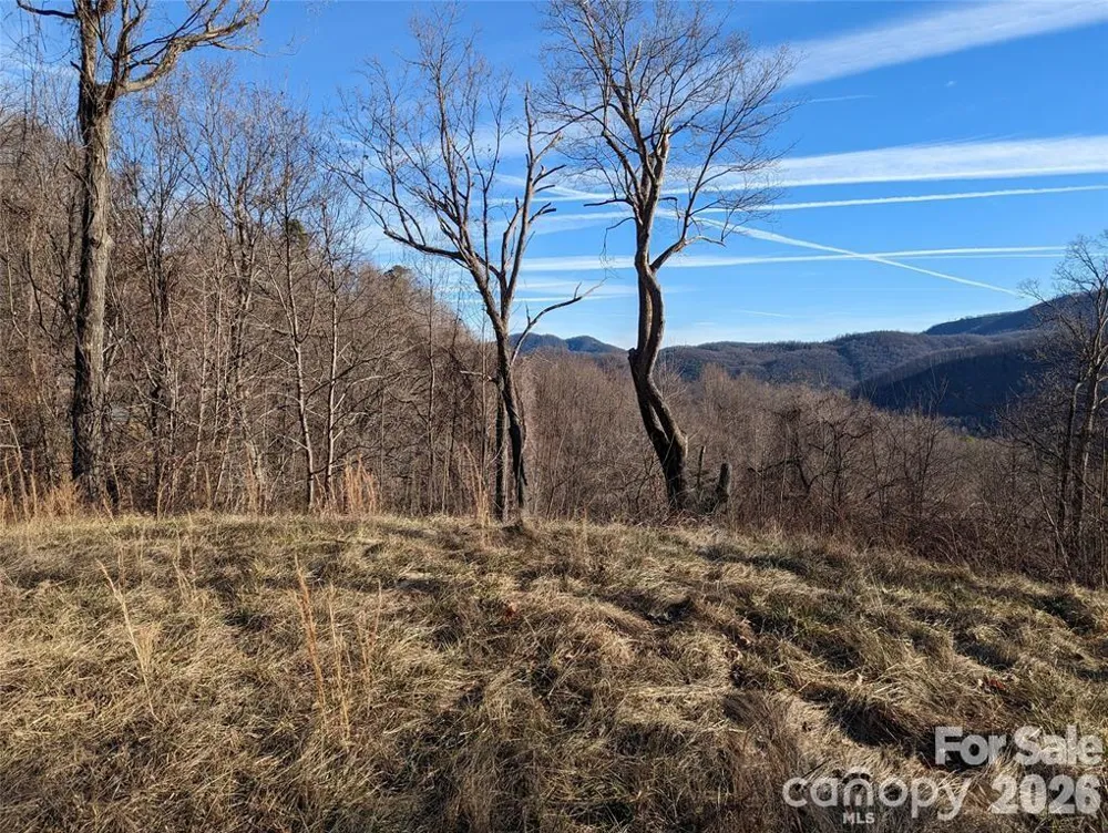 117 Ironwood Lane #C-20 Black Mountain, NC 28711