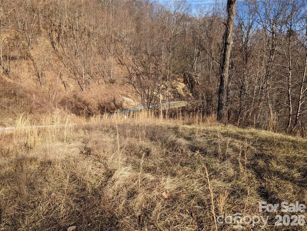 117 Ironwood Lane #C-20 Black Mountain, NC 28711