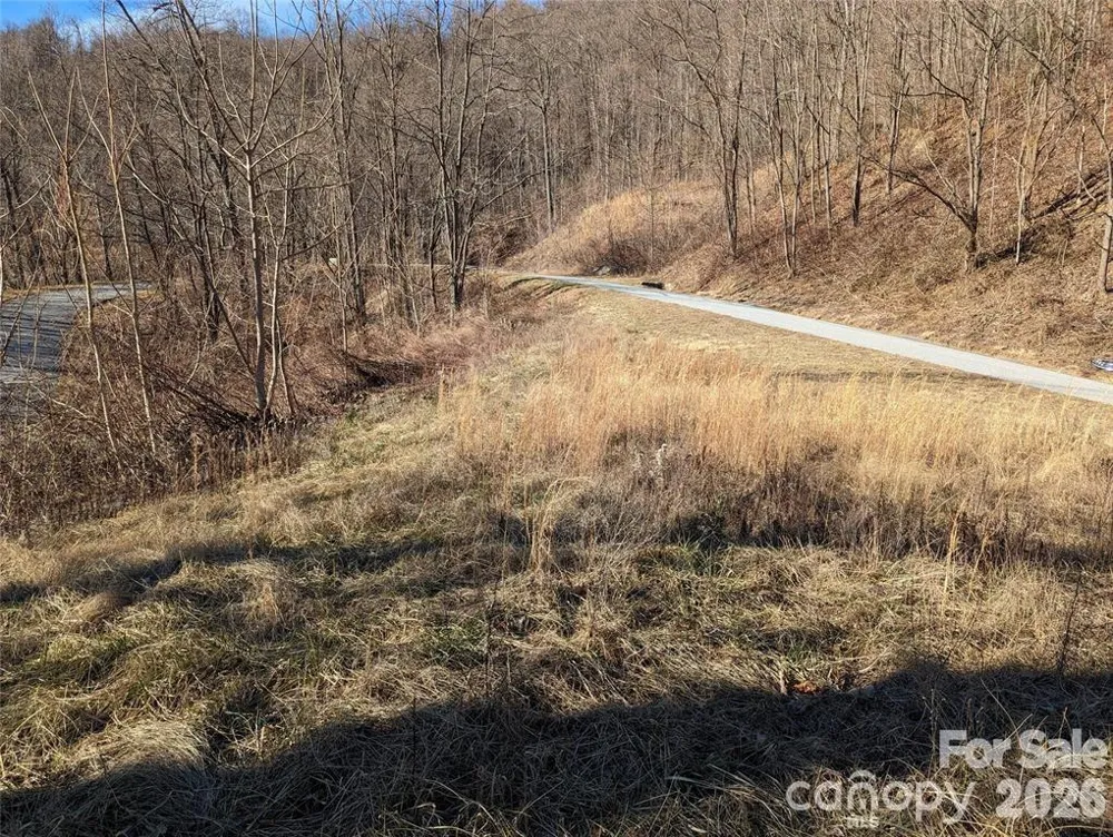 117 Ironwood Lane #C-20 Black Mountain, NC 28711