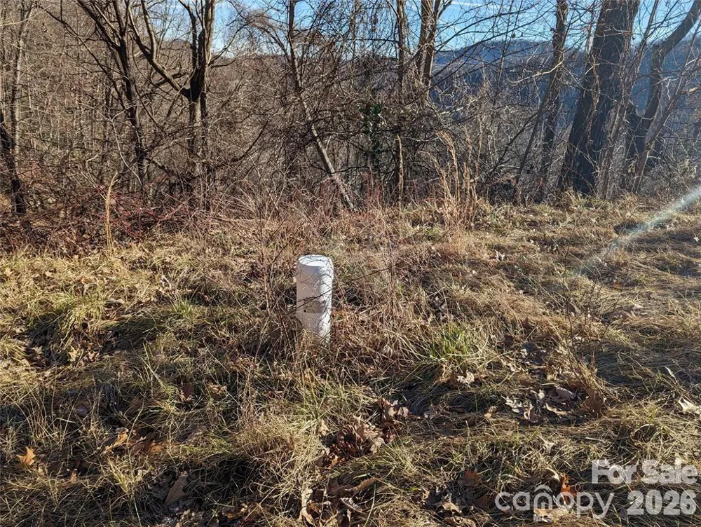 117 Ironwood Lane #C-20 Black Mountain, NC 28711