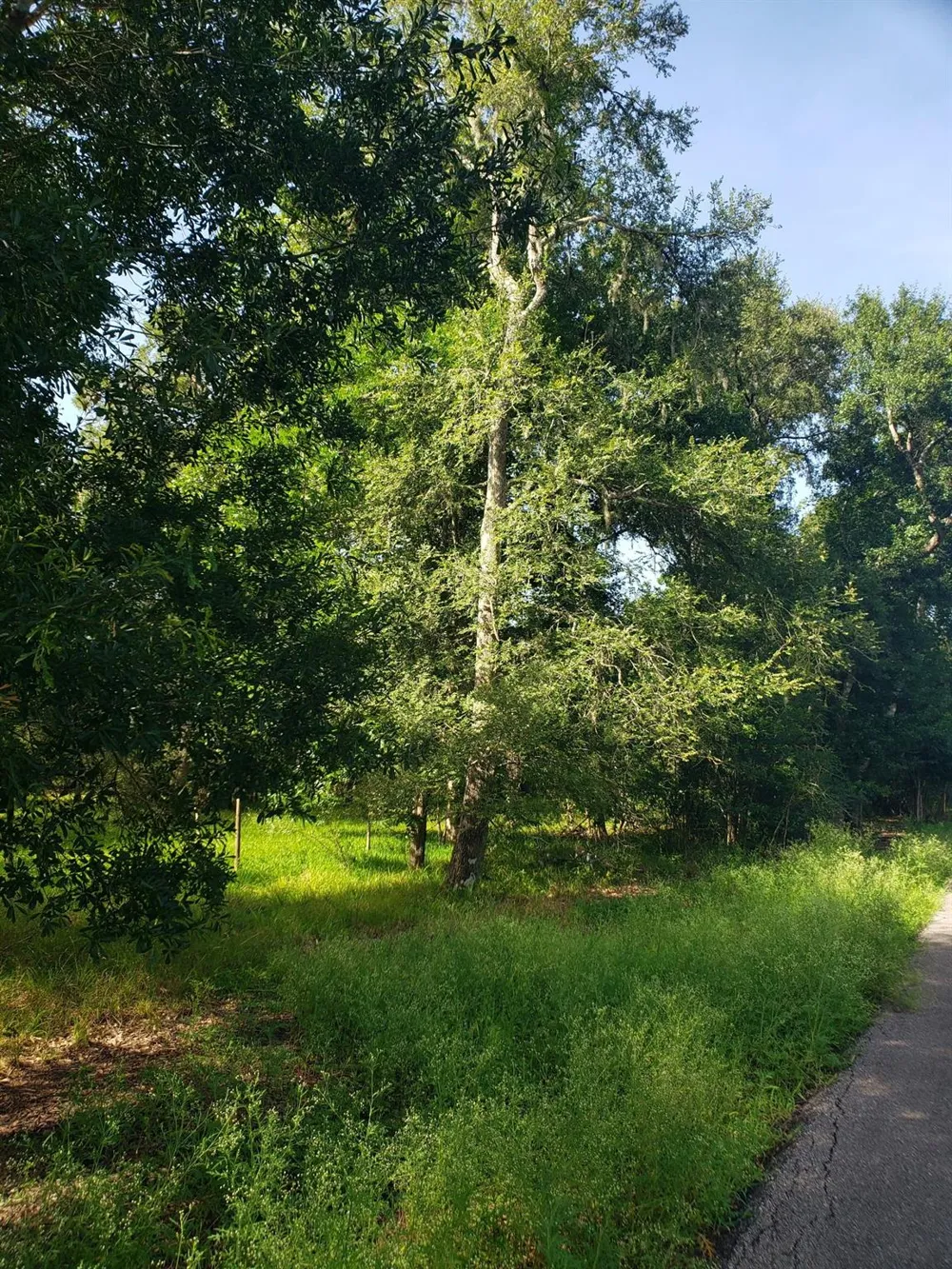 20921 Levee Road Road Guy, TX 77444
