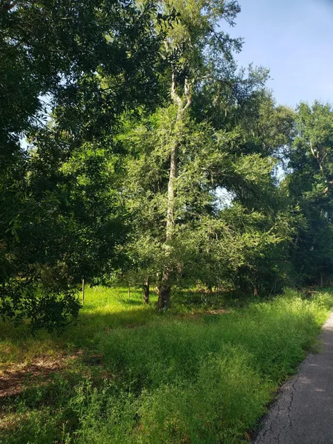 20921 Levee Road Road