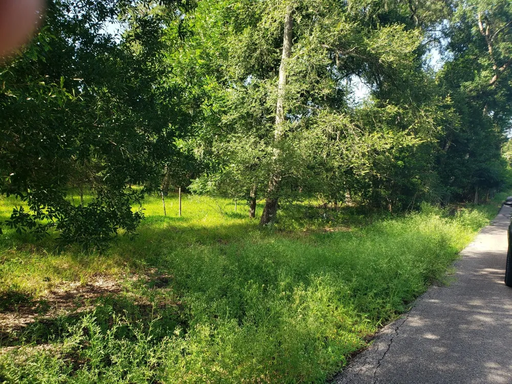 20921 Levee Road Road Guy, TX 77444