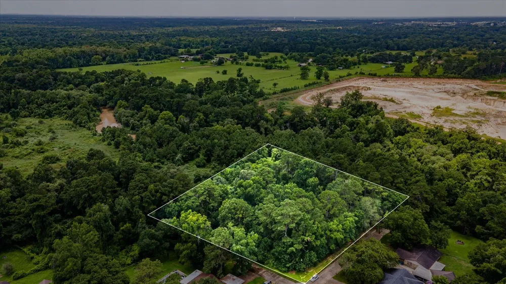 Alpestrine Dr New Caney, TX 77357