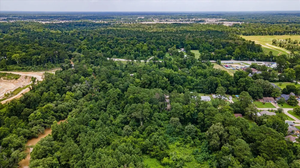 Alpestrine Dr New Caney, TX 77357