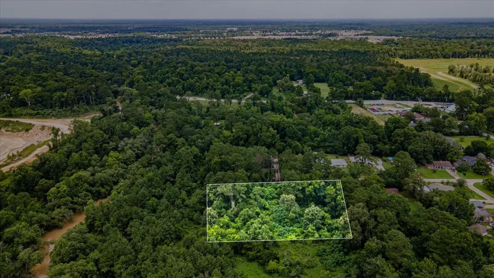 Alpestrine Dr New Caney, TX 77357