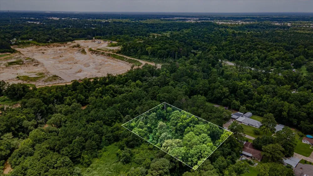 Alpestrine Dr New Caney, TX 77357