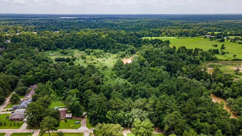 Alpestrine Dr New Caney, TX 77357