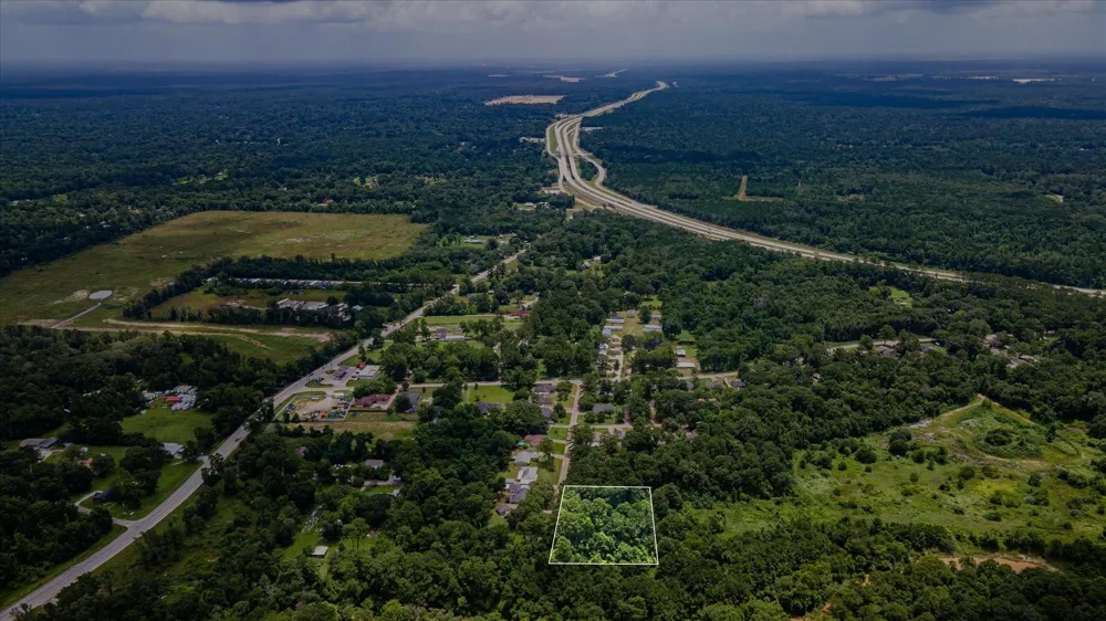 Alpestrine Dr New Caney, TX 77357
