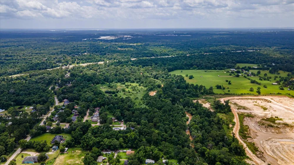 Alpestrine Dr New Caney, TX 77357