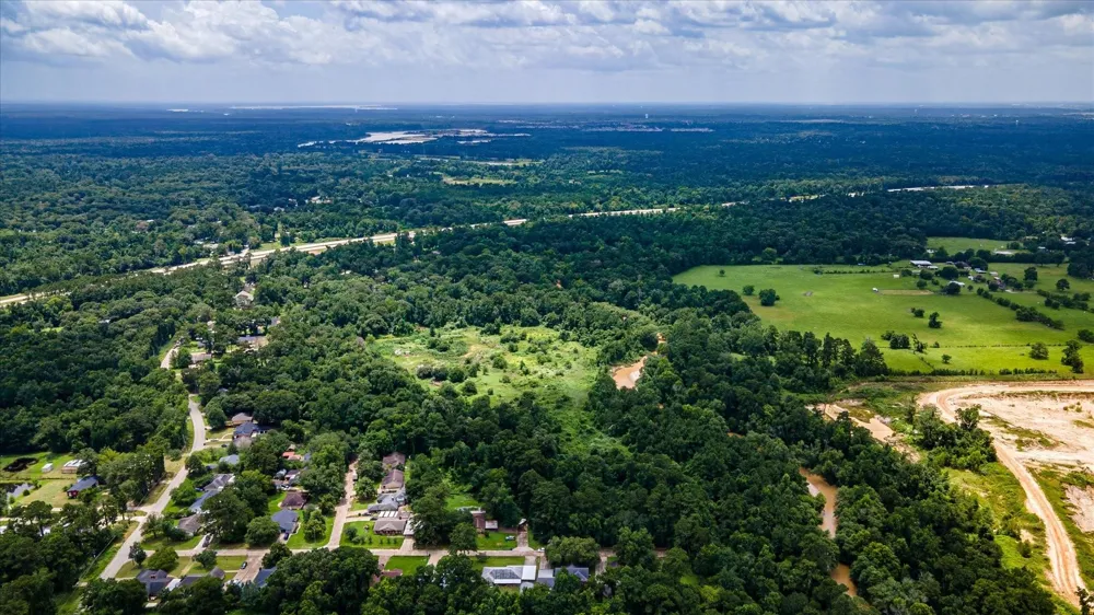 Alpestrine Dr New Caney, TX 77357