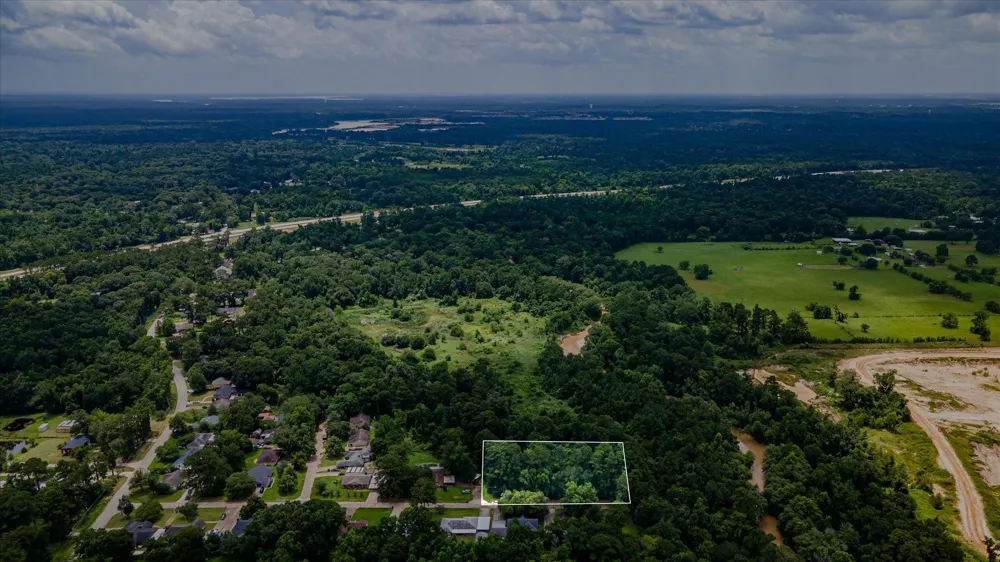 Alpestrine Dr New Caney, TX 77357