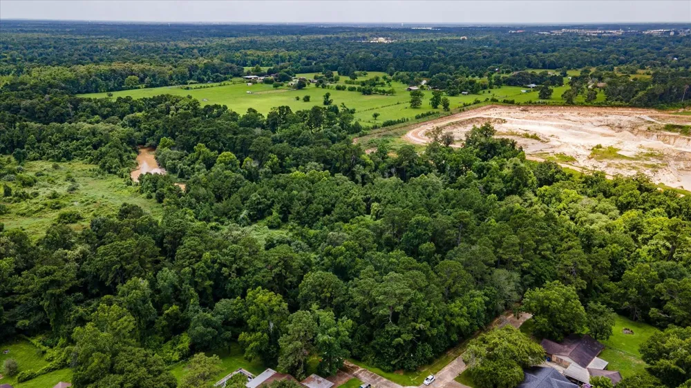 Alpestrine Dr New Caney, TX 77357