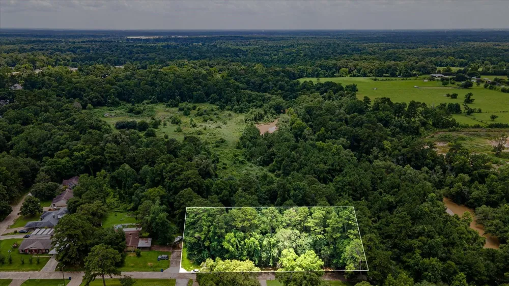 Alpestrine Dr New Caney, TX 77357