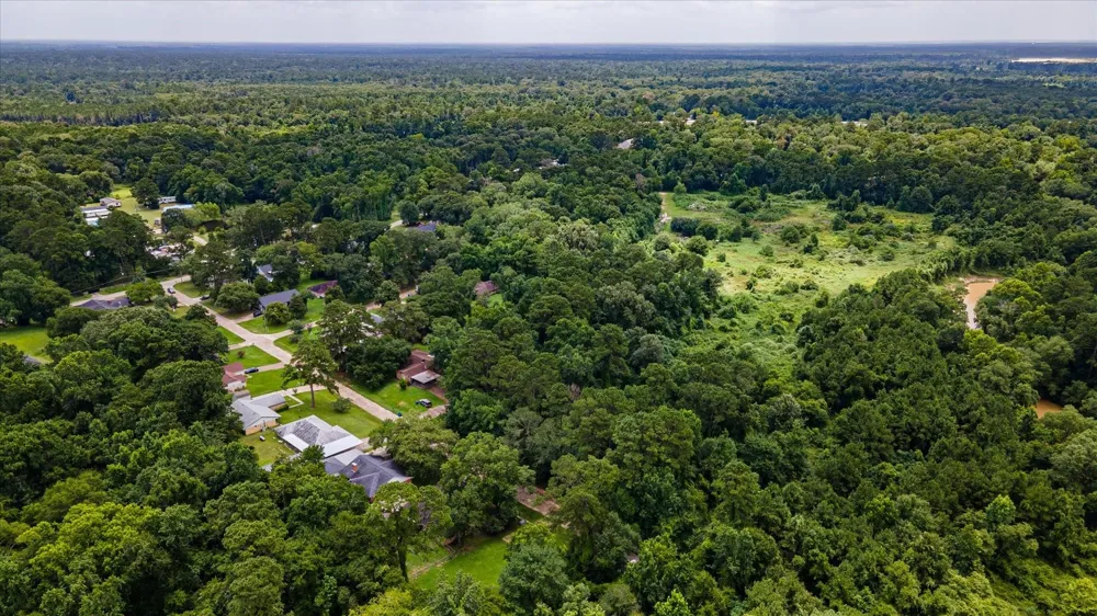 Alpestrine Dr New Caney, TX 77357
