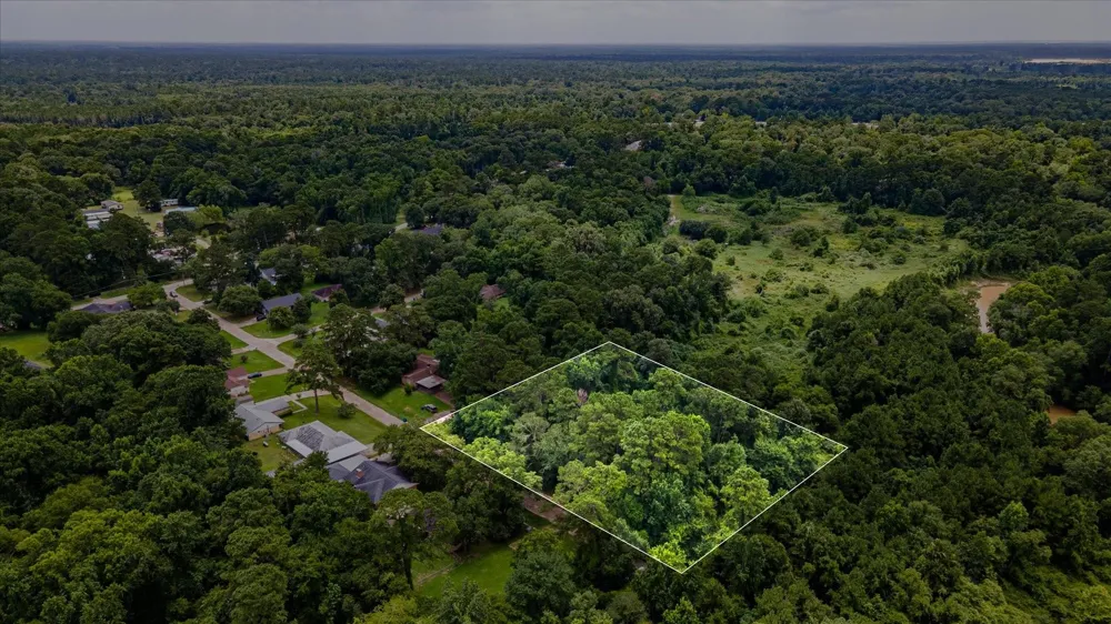 Alpestrine Dr New Caney, TX 77357