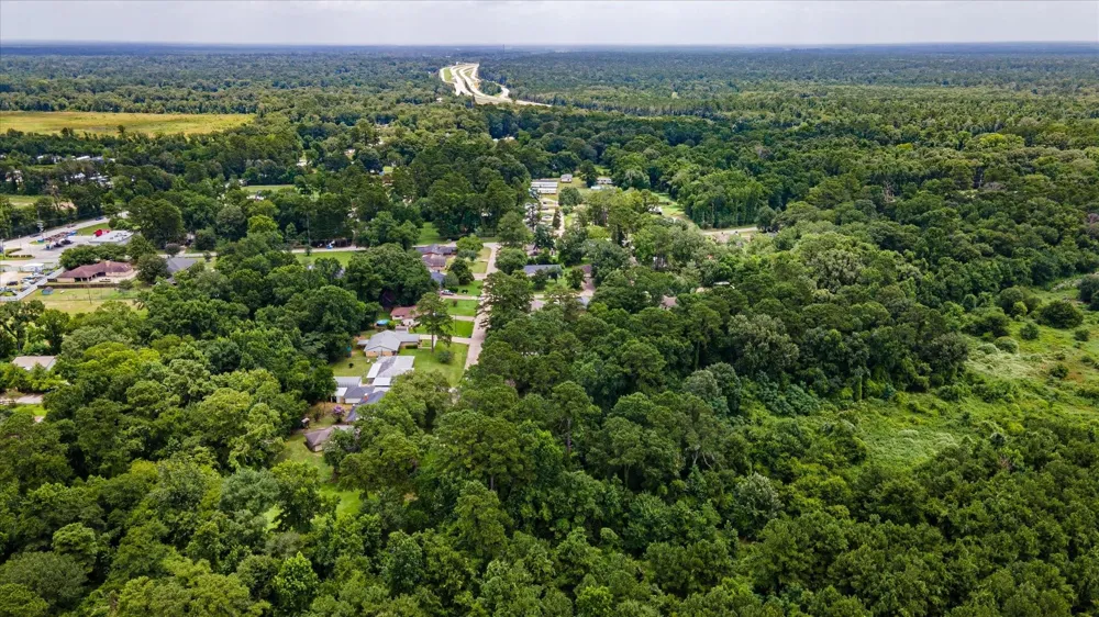 Alpestrine Dr New Caney, TX 77357