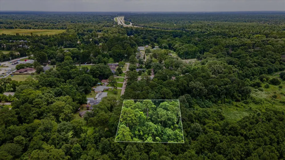 Alpestrine Dr New Caney, TX 77357