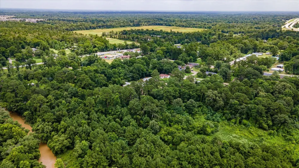 Alpestrine Dr New Caney, TX 77357