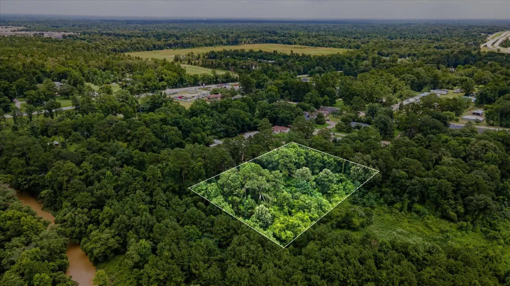 Alpestrine Dr New Caney, TX 77357