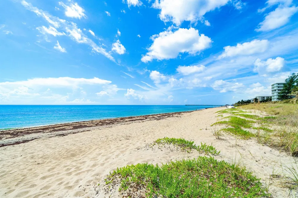 2760 S Ocean Boulevard #313 Palm Beach, FL 33480