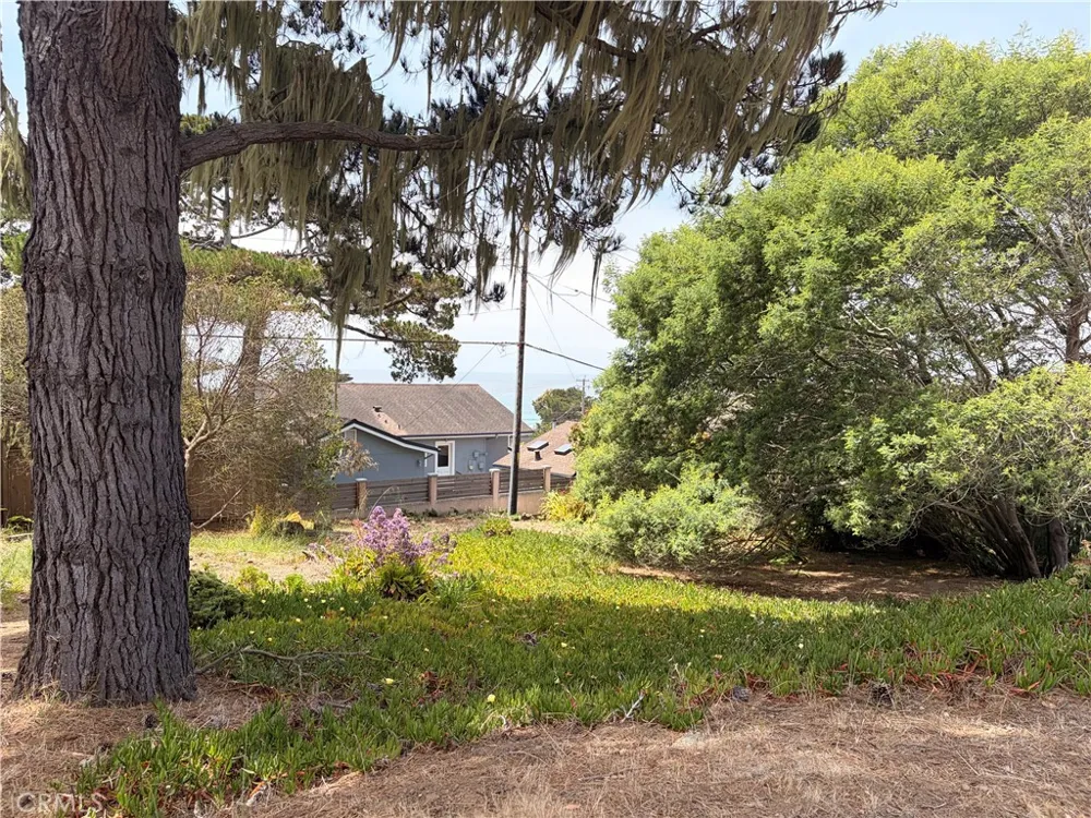 422 Weymouth Cambria, CA 93428