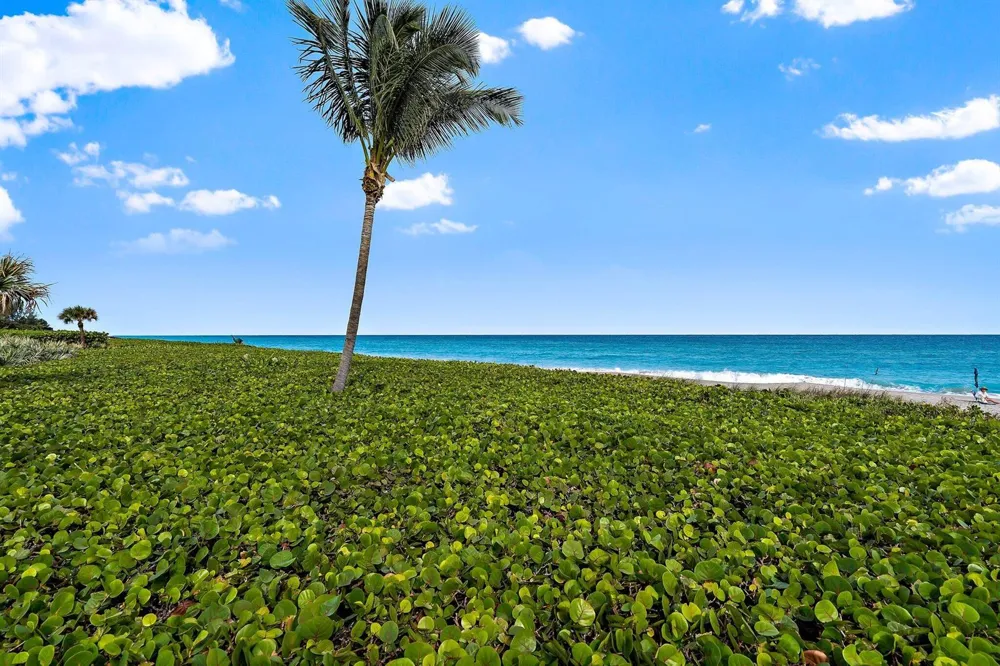 120 Celestial Way #302 Juno Beach, FL 33408