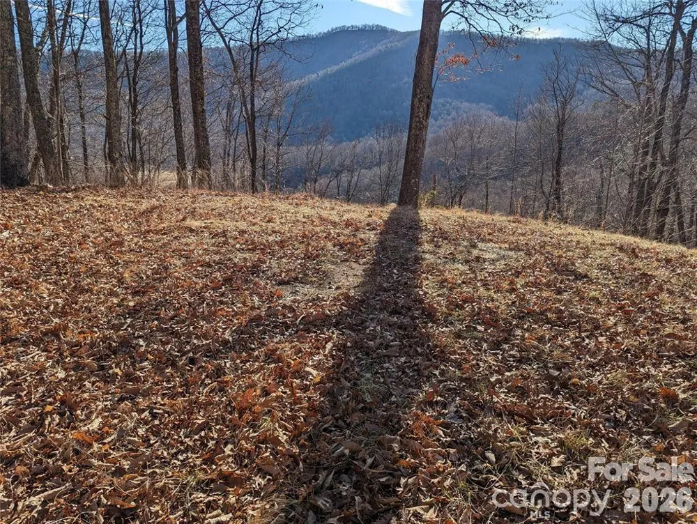 367 Kestrel Lane #T-85 Black Mountain, NC 28711