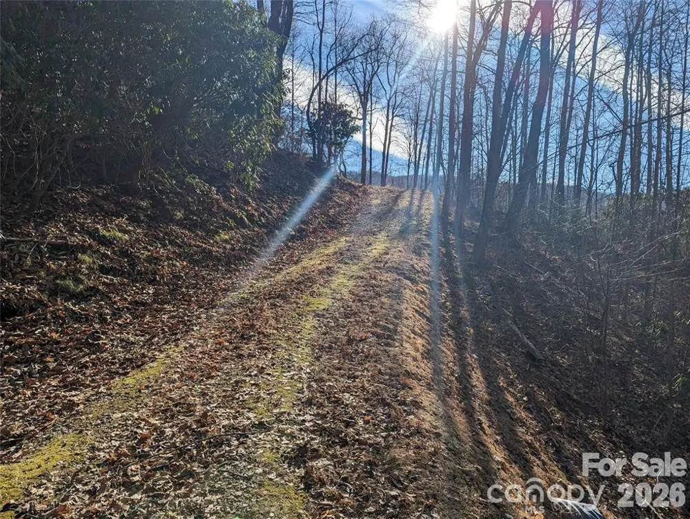 367 Kestrel Lane #T-85 Black Mountain, NC 28711