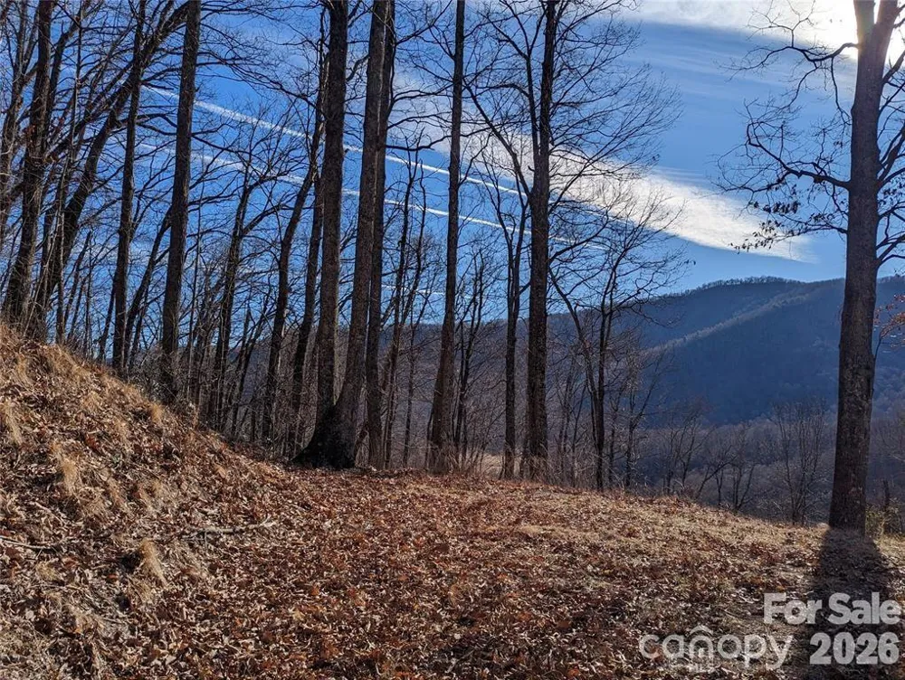 367 Kestrel Lane #T-85 Black Mountain, NC 28711