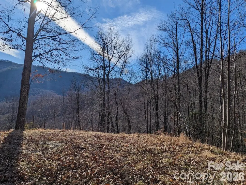 367 Kestrel Lane #T-85 Black Mountain, NC 28711