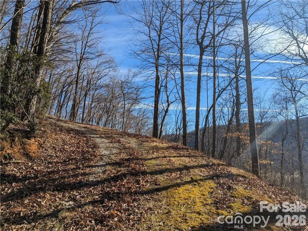 367 Kestrel Lane #T-85 Black Mountain, NC 28711