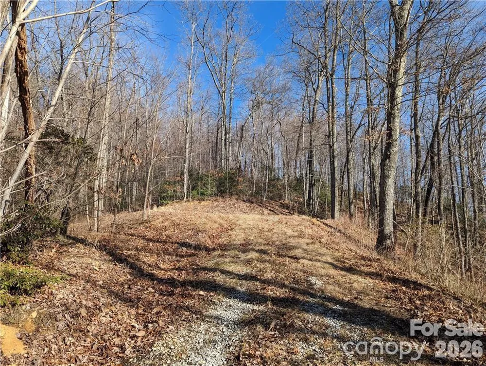 367 Kestrel Lane #T-85 Black Mountain, NC 28711